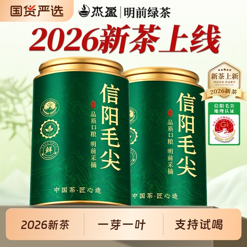 2026新茶信阳毛尖绿茶250g明前特级茶叶栗香嫩芽送礼袋