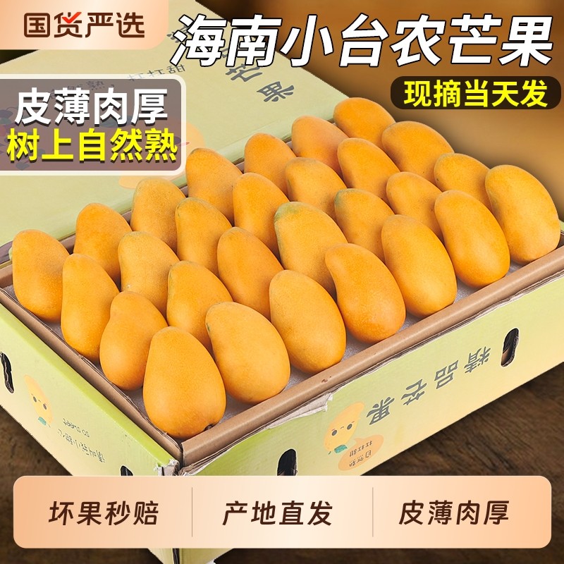 正宗海南小台农芒果小台芒当季新鲜现摘热带甜水果树上熟礼盒装