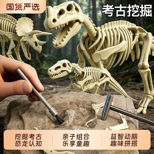 恐龙化石考古挖掘玩具