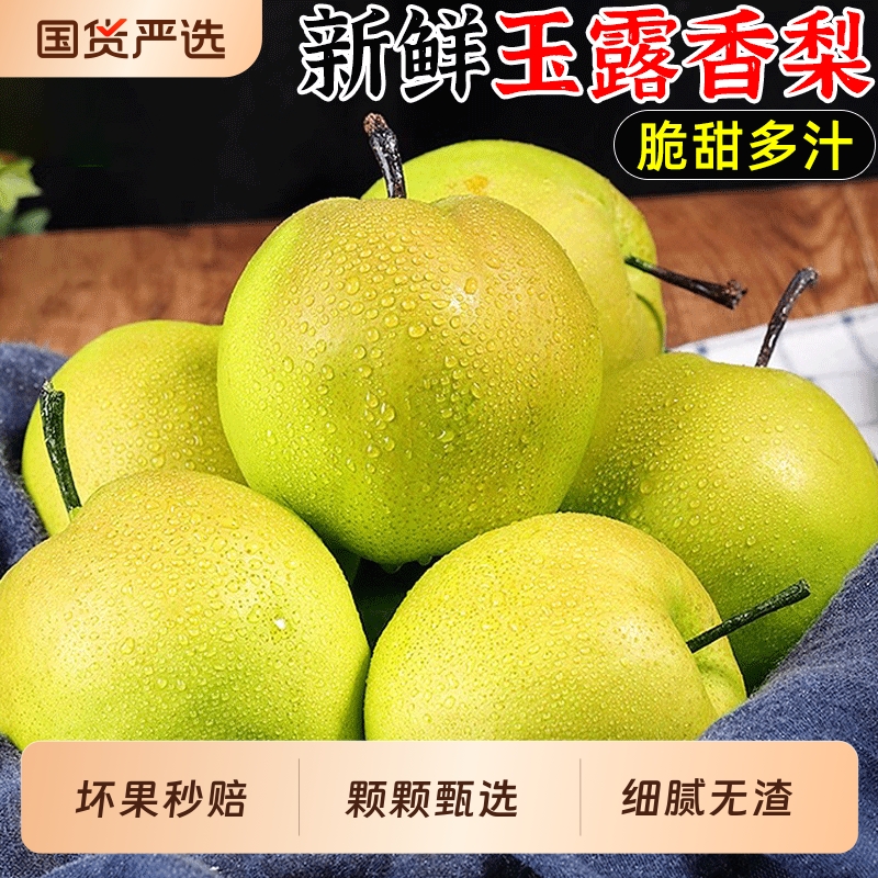 新鲜现摘酥脆多汁丨山西玉露香梨