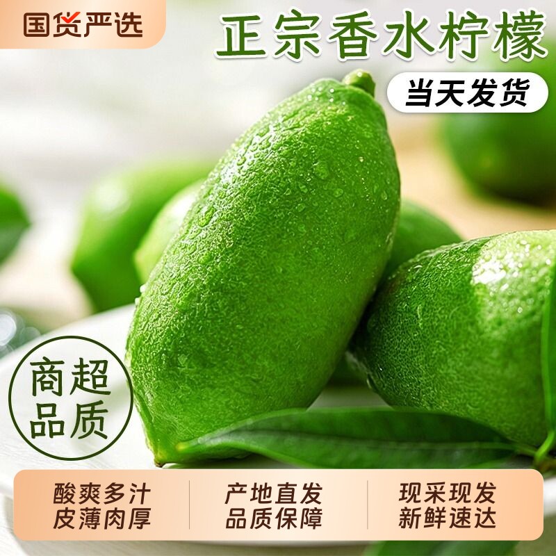 广东香水柠檬新鲜正宗青柠檬无籽大果一级果应当季水果奶茶店专用