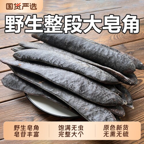无患子野生大皂角天然整长皂角皂荚段中药材洗发侧柏叶皂角粉浮萍