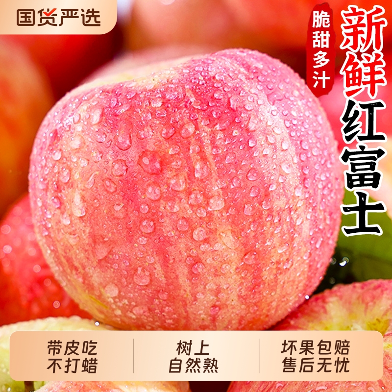 山西新鲜红富士苹果5斤