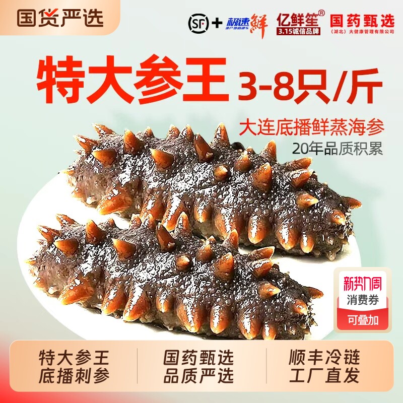大连海参即食刺参鲜活辽参年货野生海生500g特大号单个装新鲜底播