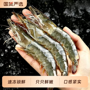 【冠鲜行动】厄瓜多尔白虾3斤