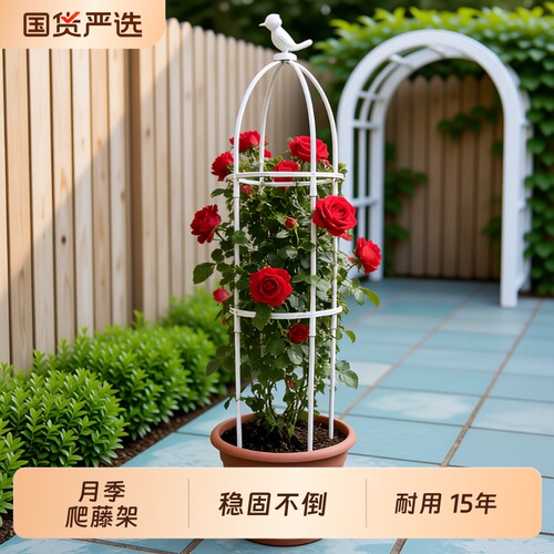 月季爬藤架阳台花架支撑杆