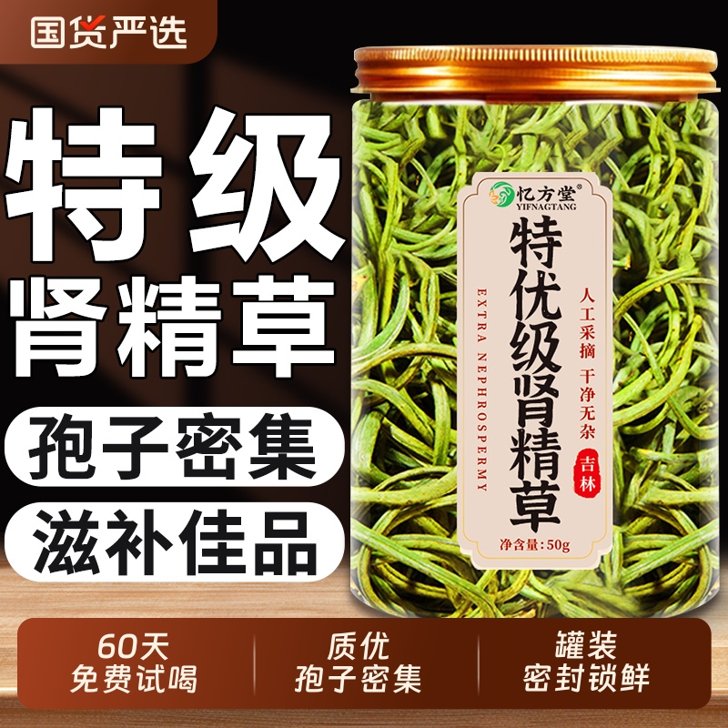 长白山野生小叶肾精茶正品