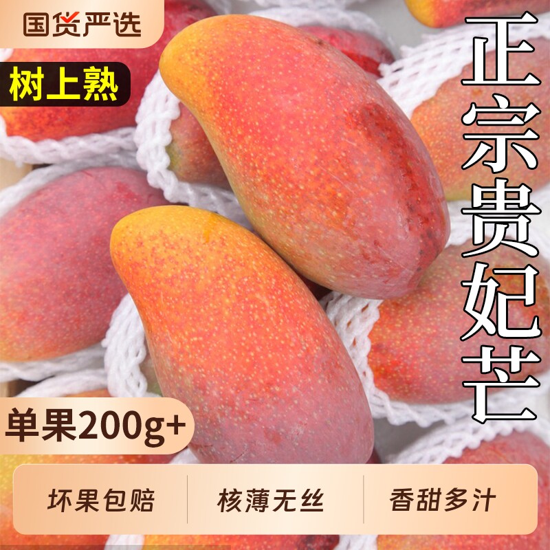 正宗贵妃芒新鲜水果芒果特大果金煌凯特小台树上熟甜当季整箱包邮