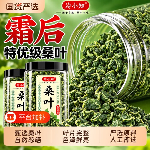 霜后桑叶茶桑树叶秋后新鲜桑叶中药材正品桑叶干官方旗舰店