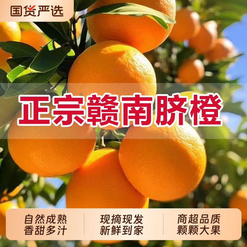 顺丰江西赣南脐橙新鲜水果应当季整箱赣州官方直发正宗源产地橙子