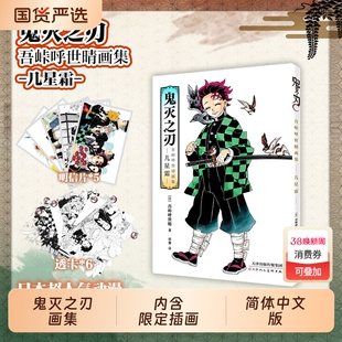 特典版【赠明信片*5+透卡*6】鬼灭之刃吾峠呼世晴画集-几星霜- 决战无限城炭治郎公式书鬼杀队见闻录 简体中文版日本漫画书籍