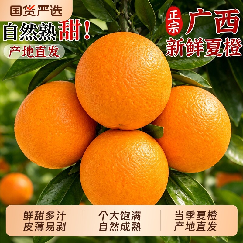 正宗广西夏橙新鲜水果橙子当季现摘手剥果冻橙子冰糖甜橙大果整箱
