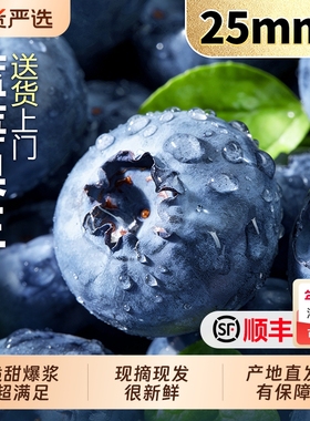 云南蓝莓新鲜水果当季蓝梅鲜果现摘高山怡颗孕妇大果整箱l25包邮
