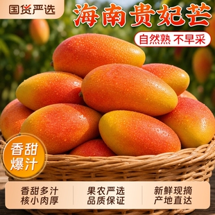 【央视品牌】顾一！贵妃芒净重4.5斤