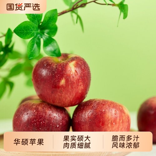 华硕樱桃小苹果新鲜水果当季整箱云南华硕苹果应季脆甜
