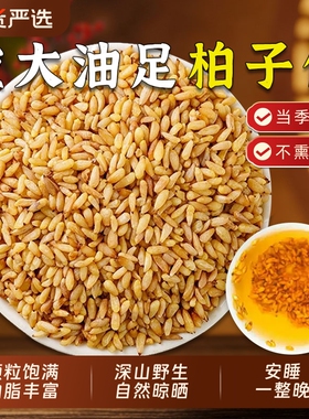 正宗新货柏子仁中药材柏实柏子仁去壳柏籽仁油性足养心安神泡茶喝