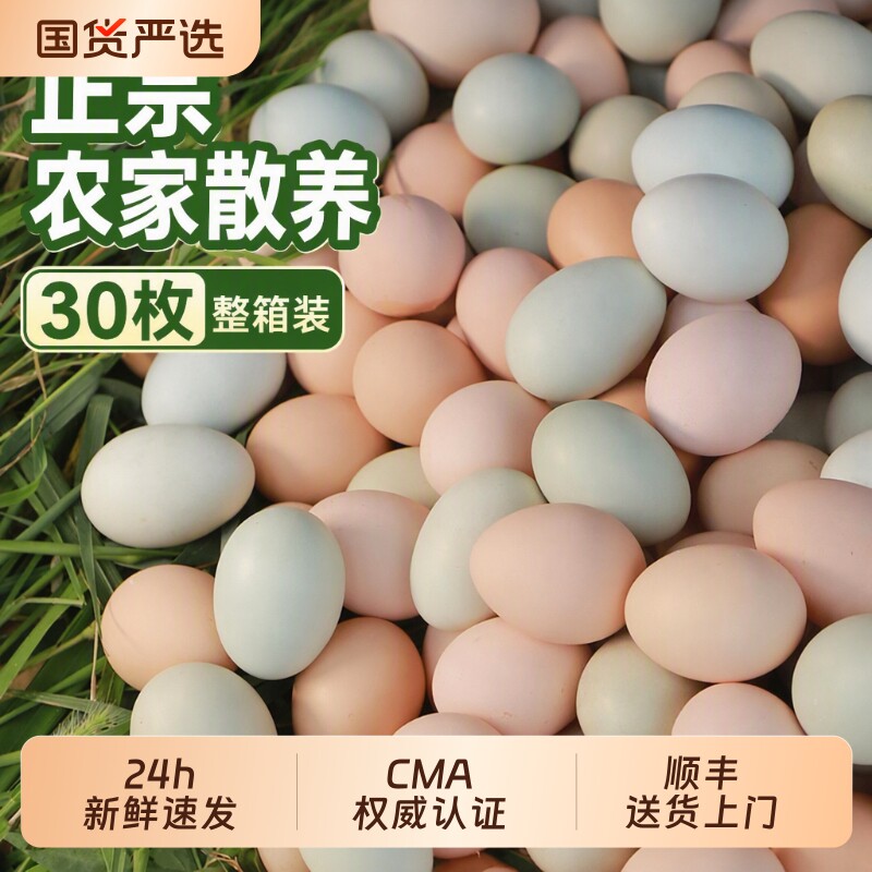 乡公馆新鲜30枚整箱土鸡蛋图片