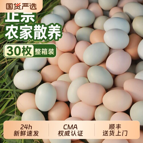 乡公馆新鲜30枚整箱土鸡蛋
