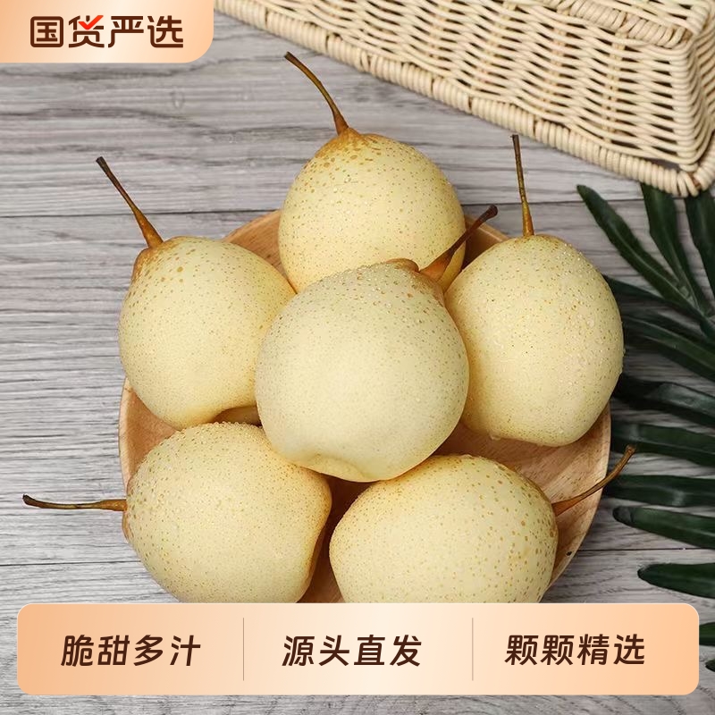 河北鸭梨水晶梨包邮非皇冠梨雪梨香梨新鲜梨子产地直发