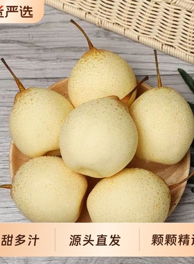 河北鸭梨水晶梨包邮非皇冠梨雪梨香梨新鲜梨子产地直发