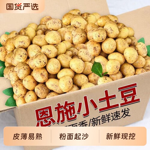 恩施黄心小土豆现挖新鲜洋芋