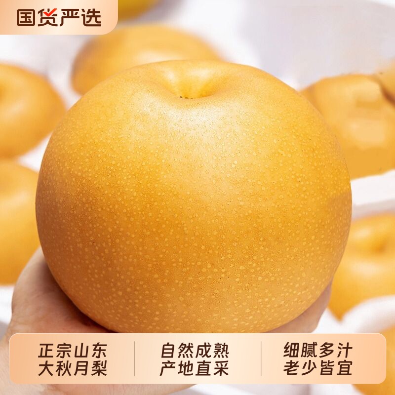 秋月梨裕鲜生正宗山东烟台莱阳新鲜水果冰糖雪梨子大果整箱10斤装