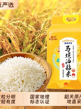 舶元马坝油粘米原粮广东韶关南方籼米5kg地标米煲仔饭真空锁鲜