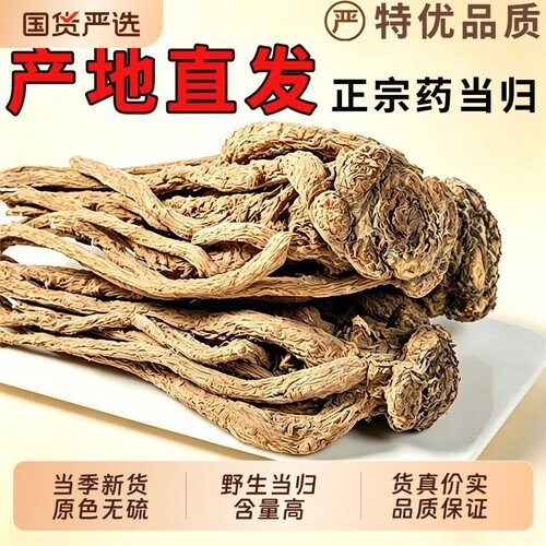 云南高海拔整根当归1000克野生当归根无硫熏自然晾晒泡水煲汤包邮