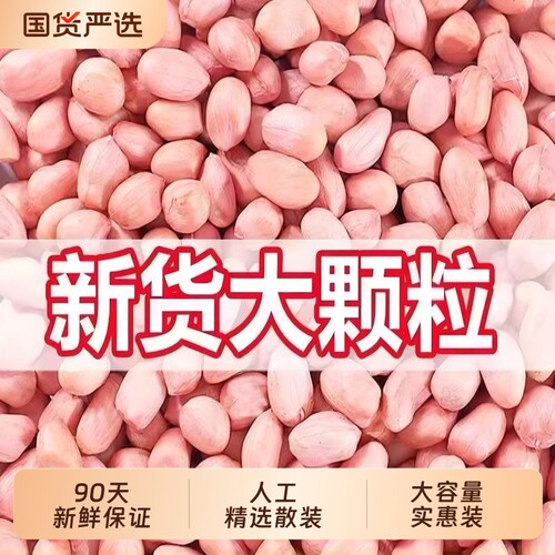 花生米生新河南新货2025年大颗粒农家新鲜花生仁大粒散装食用油炸