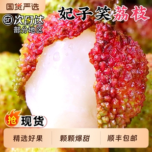 海南妃子笑荔枝新鲜现摘现发水果当季整箱果王白糖桂花味香罂荔枝