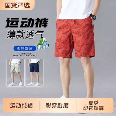 谷奇小鸟夏季短裤|出口美国