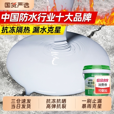 【国货之光！】屋顶防水补漏涂料