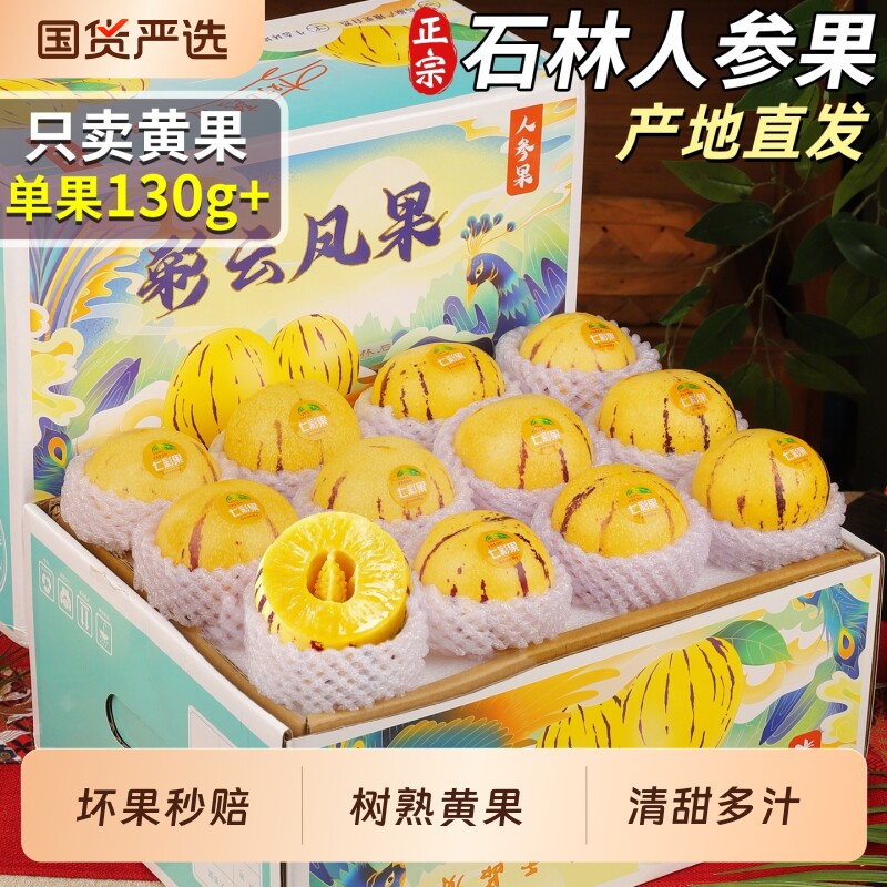 正宗石林云南人参果树熟黄果
