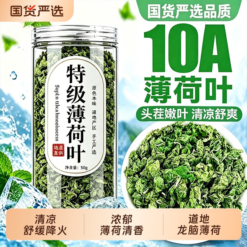 特级薄荷叶干纯薄荷茶新鲜可食用图片