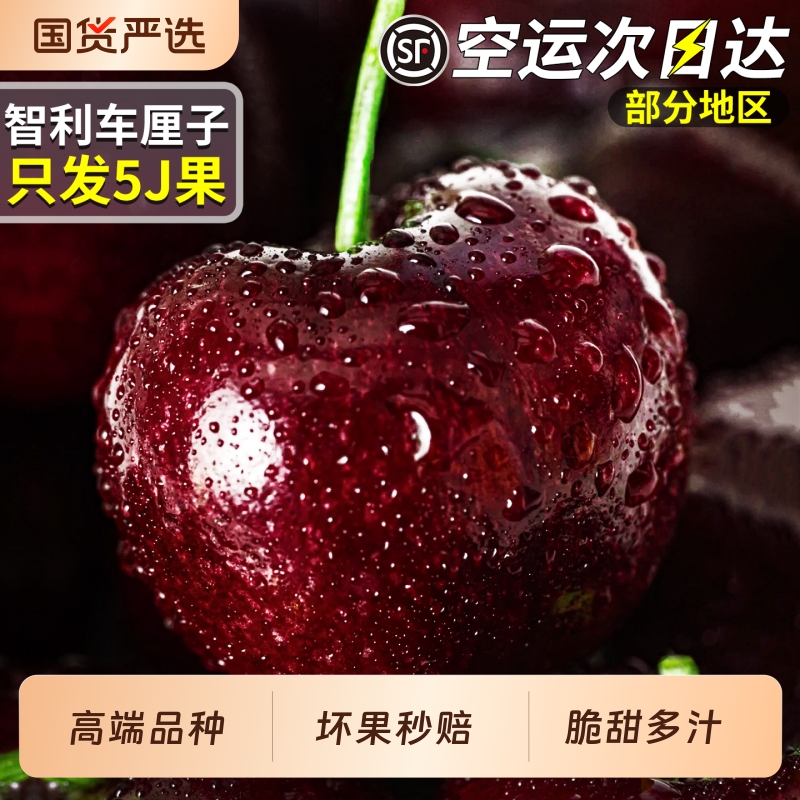 空运次日达丨原箱进口桑提娜黑车