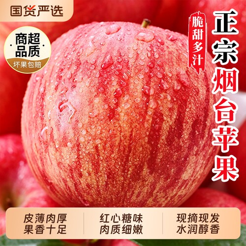 正宗山东烟台红富士苹果新鲜水果