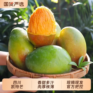 正宗攀枝花头茬凯特芒净重4.5斤单果400g+