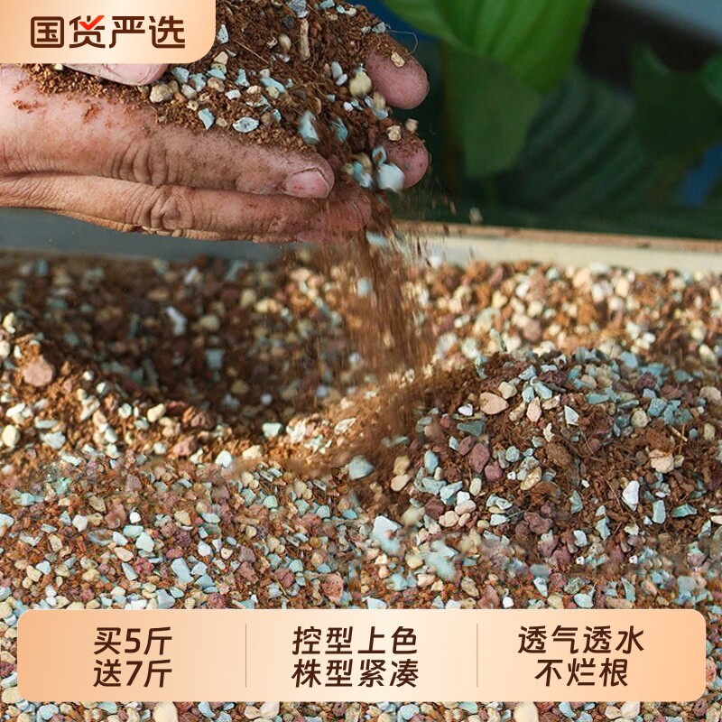 多肉颗粒土专用营养土泥炭土壤种植土肉肉叶插幼苗老桩纯颗粒花土