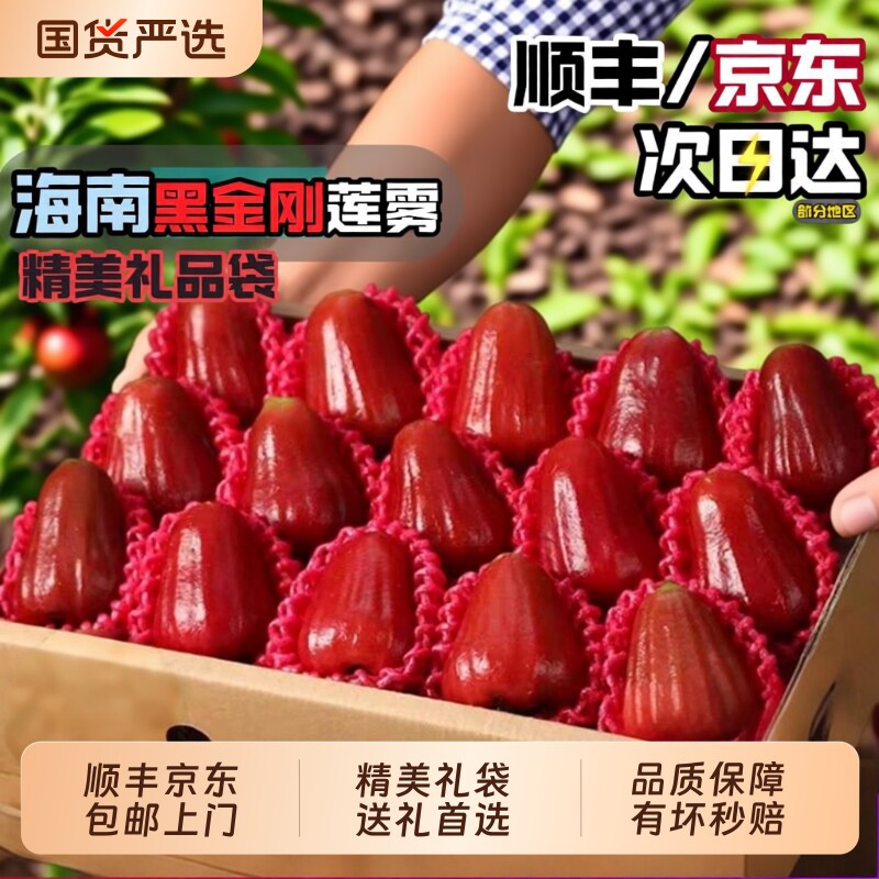 莲雾【官方推荐】海南三亚黑金刚精品大果脆甜多汁新鲜包邮连雾