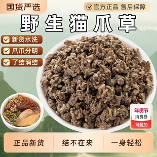 正宗野生猫爪草猫抓草干货中药材水洗猫爪草夏枯草郁金蒲公英泡茶