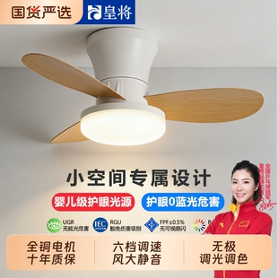 2026新款吊扇风扇灯吸顶家用客厅餐厅卧室静音电扇一体吊灯阳台