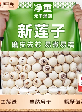 菇里磨皮通芯莲子500g新鲜去芯白莲银耳百合汤20g鲜莲子湘莲莲心