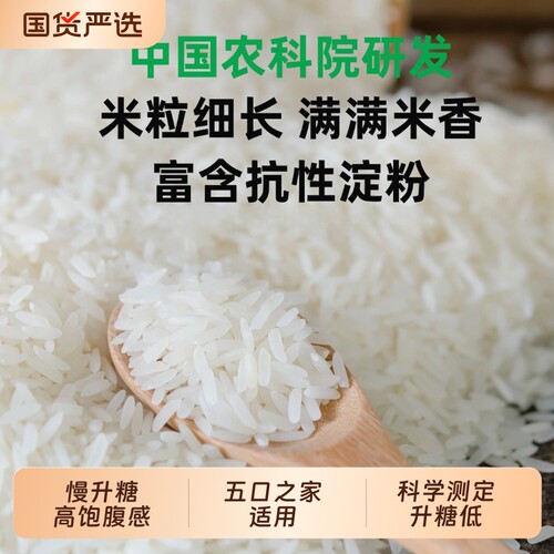 舶元低GI低升糖大米500g