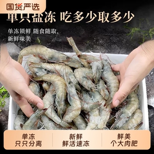 新鲜青岛大虾基围虾特大白虾冷冻对虾速冻海鲜水产鲜活海虾虾优选