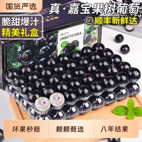 顺丰速达5斤嘉宝果树葡萄