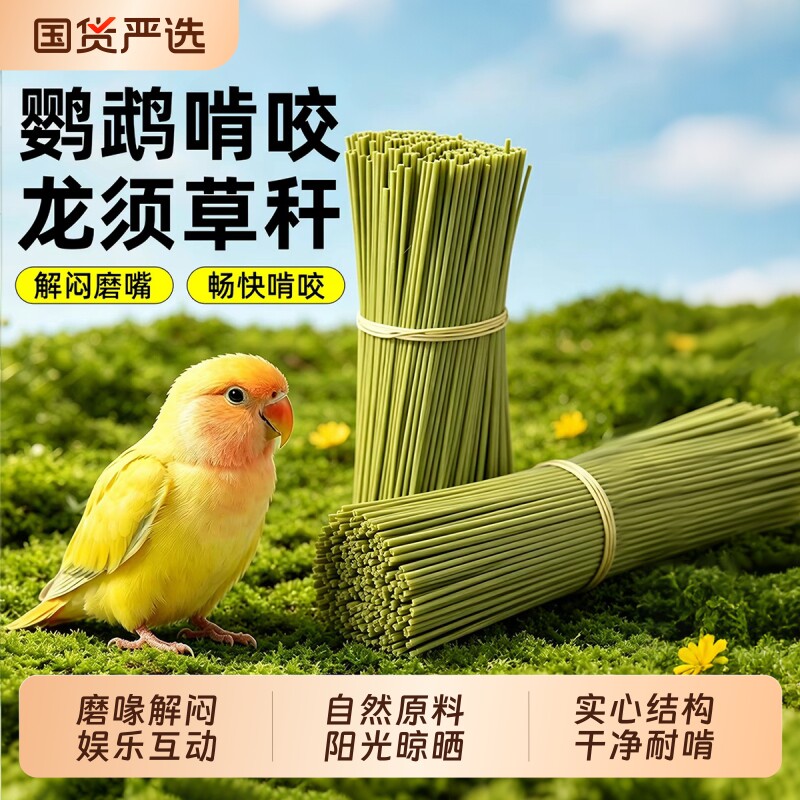 【鹦鹉龙须草】磨喙解闷娱乐互动图片