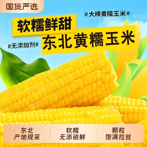 开源保丰东北黄糯玉米250*8