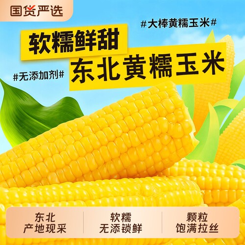 开源保丰东北黄糯玉米新鲜大棒真空装现摘黏糯粗粮代餐早餐糯玉米