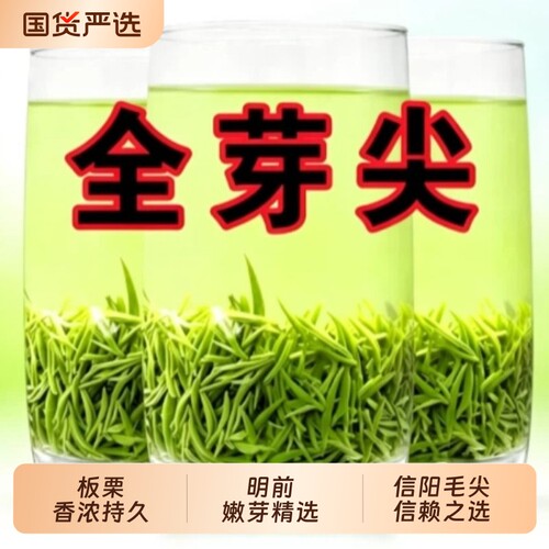 信阳毛尖茶叶2026新茶正宗明前特级嫩芽尖绿茶浓香型毛尖罐装送礼