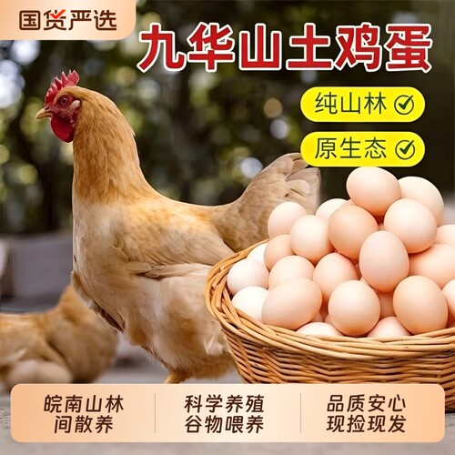 九华山农家新鲜高山散养土鸡蛋